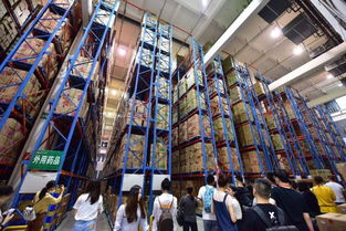 薪火相傳七十載，技術(shù)推廣譜華章——全面唱響江西“好聲音”，描繪改革發(fā)展新畫卷